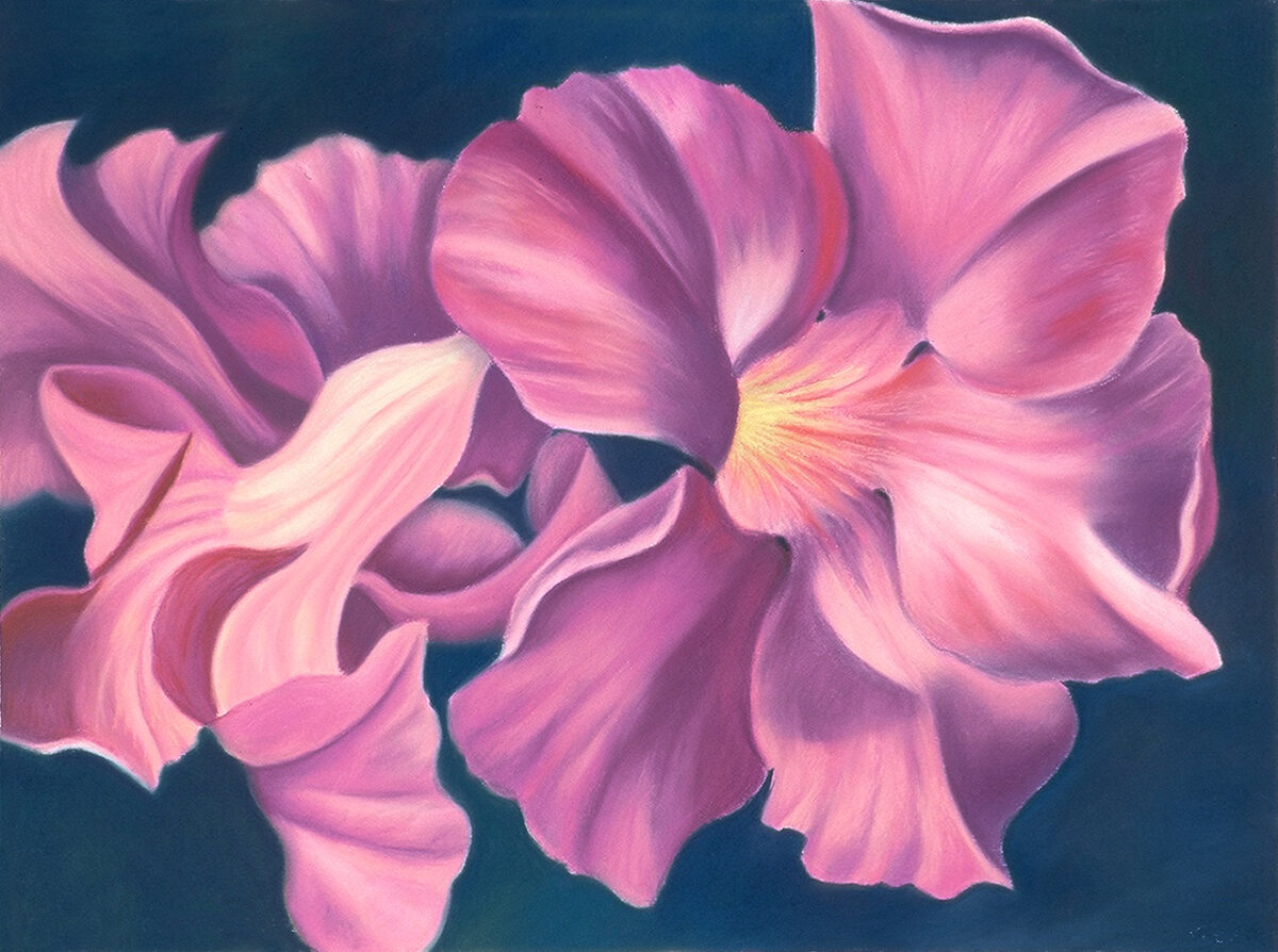 pastel by Lucy Arnold