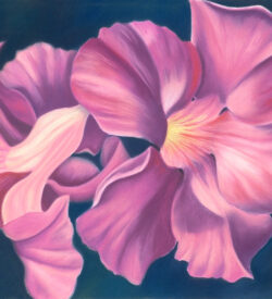 pastel by Lucy Arnold