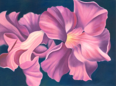 pastel by Lucy Arnold