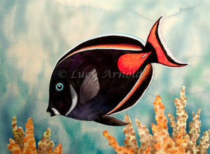 Achilles Tang watercolor by Lucy Arnold