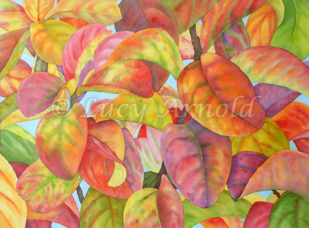 Autumn Crepe Myrtle Fine Art of Lucy Arnold