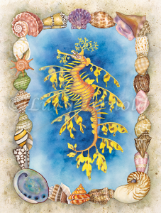 Leafy Sea Dragon, Phycodurus eques, by Lucy Arnold