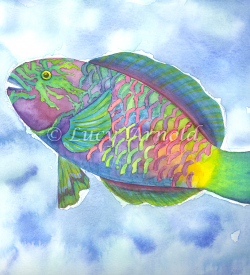 Parrot Fish by Lucy Arnold