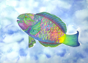Parrot Fish by Lucy Arnold