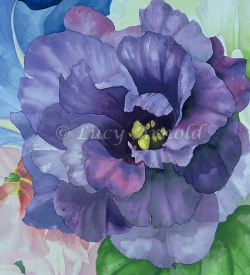Purple Lisianthus watercolor by Lucy Arnold