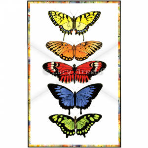 Rainbow Butterflies by Lucy Arnold