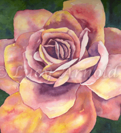 rose watercolor