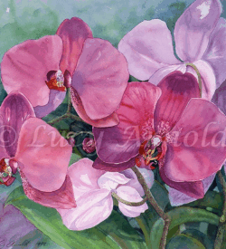 Violet Jade Gems: purple orchid