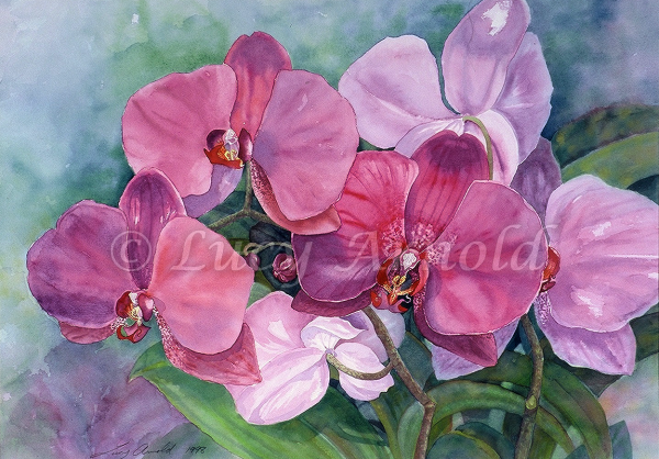 Violet Jade Gems: purple orchid