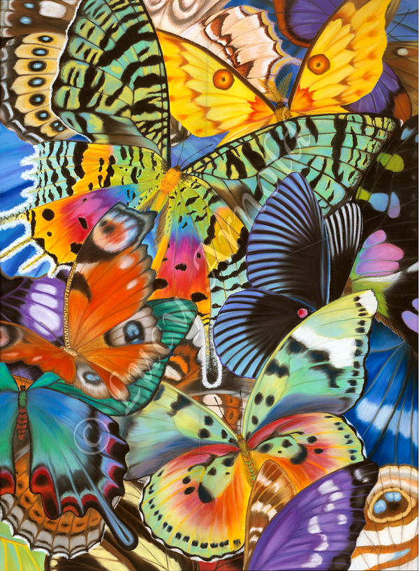 Butterfly Wings of the World butterfly art by Lucy Arnold