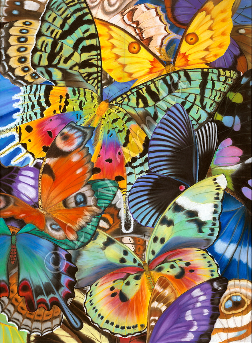 Bugs & Butterflies - Fine Art of Lucy Arnold