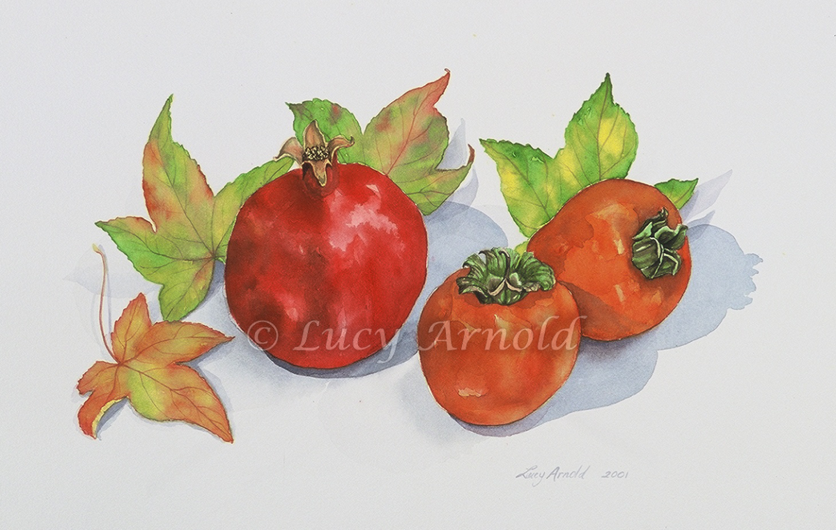 Pomegranate and persimmons watercolor by Lucy Arnold