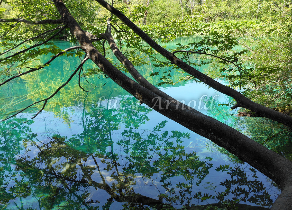 Reflections on Plitvice Lakes