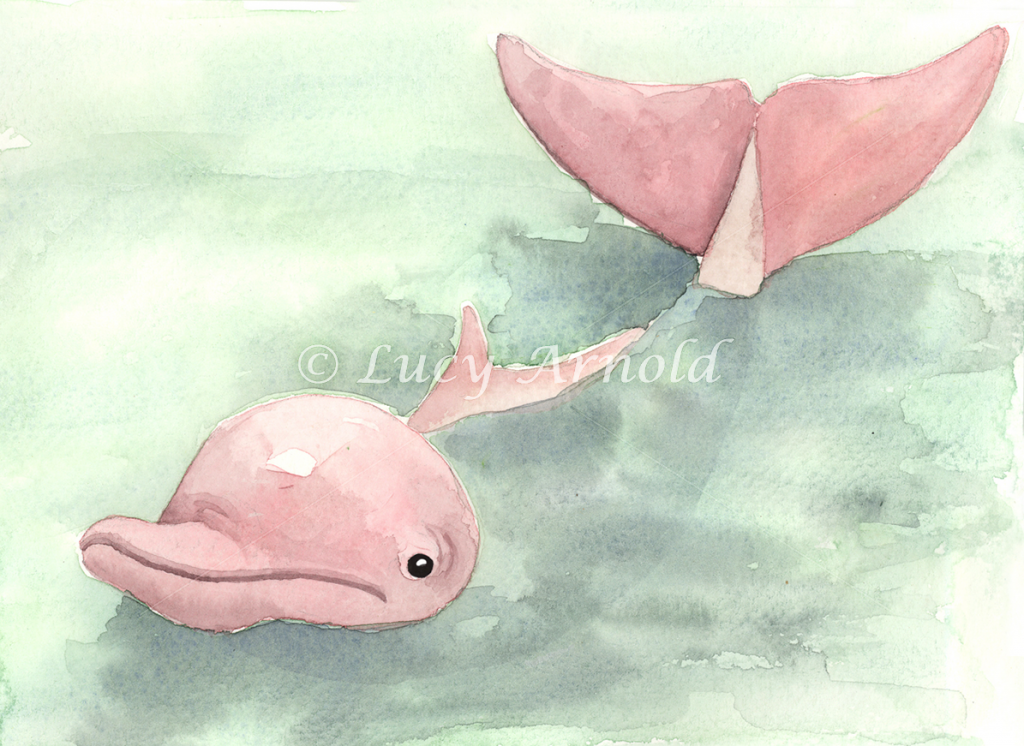 Pink River Dolphin Card Fine Art of Lucy Arnold