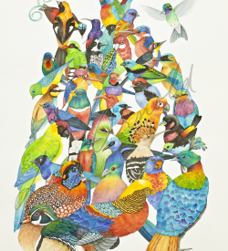 Colorful birds in Festive Flock