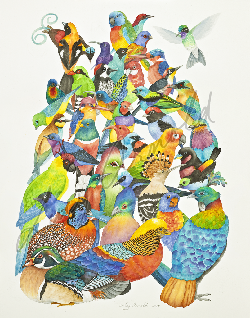 Colorful birds in Festive Flock