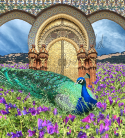 Lucy Arnold's digital art: Peacock Gate
