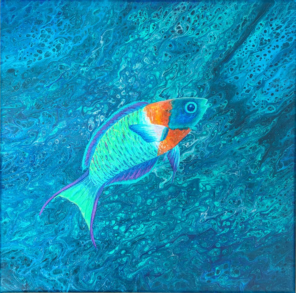 Saddle Wrasse (acrylic) - Fine Art of Lucy Arnold