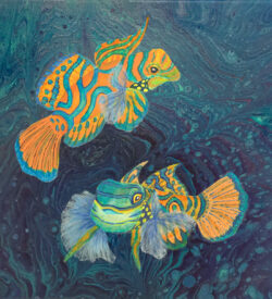 Mandarin fish by Lucy Arnold