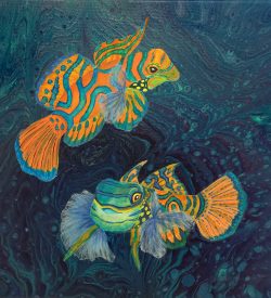 Mandarinfish by Lucy Arnold