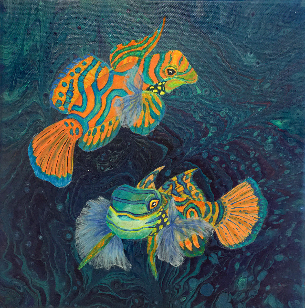 Mandarinfish by Lucy Arnold