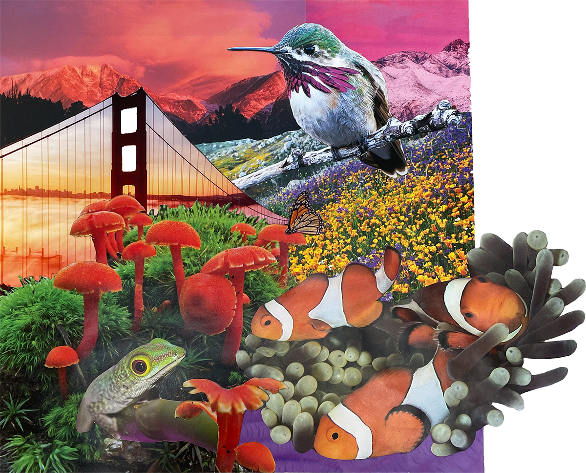 World of Color collage by Lucy Arnold
