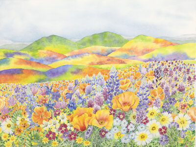 wildflower superbloom watercolor by Lucy Arnold
