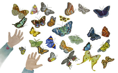 Illustration by Lucy Arnold from Druk and Mita, by Tracy Tandy