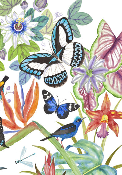 tropical paradise watercolor by Lucy Arnold