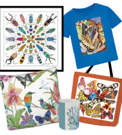 Prints & Gifts
