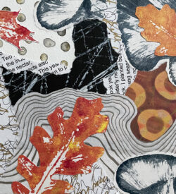 collage by Lucy Arnold