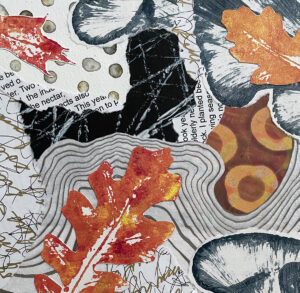 collage by Lucy Arnold