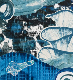 collage by Lucy Arnold